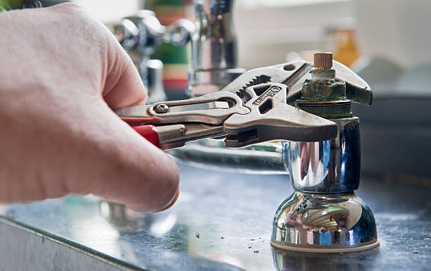 Best Mold removal after water damage  in Richlandtown, PA