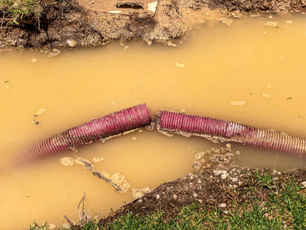 Best Residential water damage restoration  in Richlandtown, PA